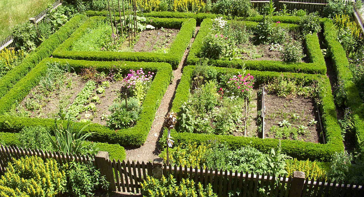 Bauerngarten mit Wegekreuz und niedrige Buchsbaumhecken als Umrandung der 4 Bereiche