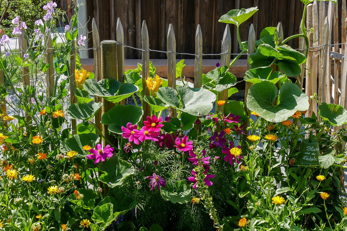 Holzzaun mit Blumen