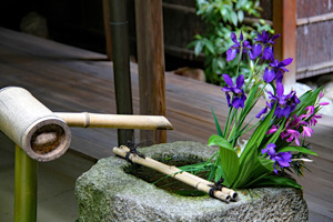 Brunnen mit Bambuslauf und Iris